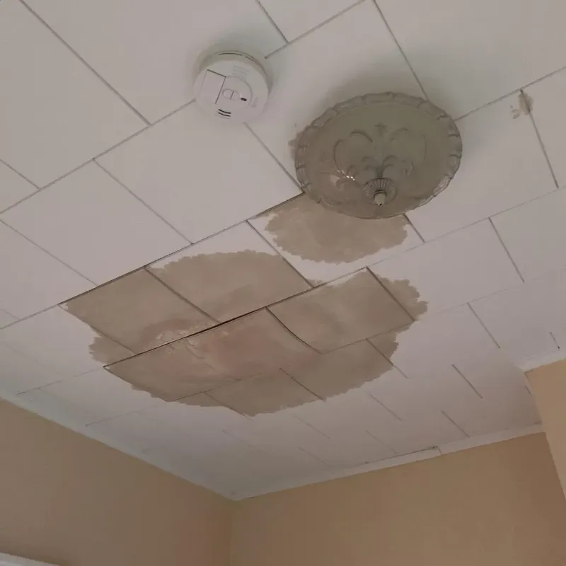 Ceiling Water Damage Repair in South Park, WY
