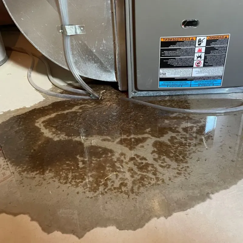 Pipe Burst and Leak Restoration in South Park, WY