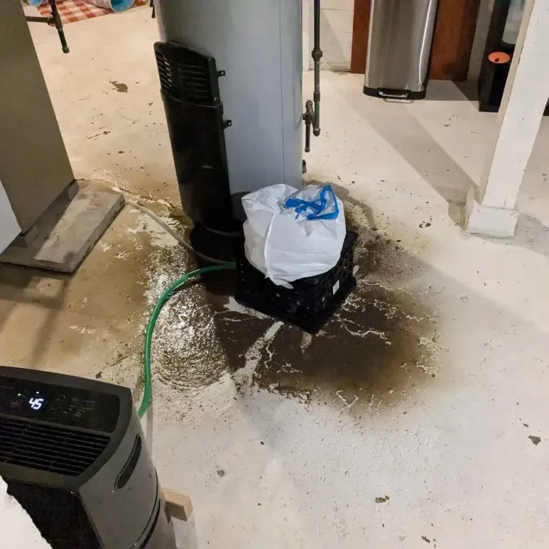 Sewage Backup Cleanup Service in South Park, WY